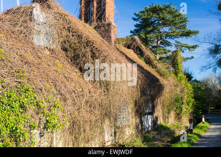 A run down but still lived in ancient medieval Tudor timber framed house in Eardisland, Herefordshire, UK. Eardisland has been voted the prettiest village in England. Stock Photo