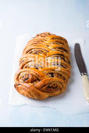 Roll of brown parchment paper for baking food in female hands