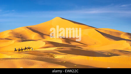 Tourists ride on camels, Erg Chebbi desert near Merzouga, Sahara, Morocco Stock Photo