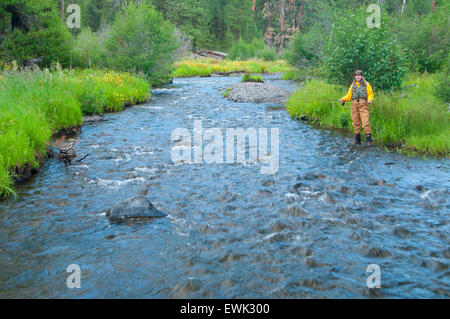 Fly fishing, North Fork Malheur Wild and Scenic River, Malheur National Forest, Oregon Stock Photo