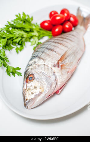 Fresh raw striped sea bream murmurs on white plate with out of focus parsley and tomatoes in background Stock Photo