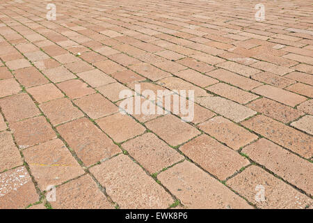 Block paving pattern. Paved with stones with weeds between bricksand a rose on the ground Stock Photo