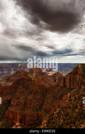 Spring showers pass over the North Rim of Arizona's Grand Canyon National Park and a distant snow capped Humphreys Peak. Stock Photo