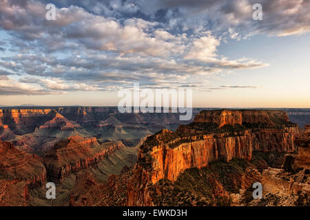 Evening light bathes Wotans Throne from Cape Royal on the North Rim of Arizona's Grand Canyon National Park. Stock Photo