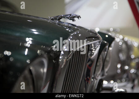 Close up of classic jaguar car collection on display at Coventry Transport Museum Stock Photo