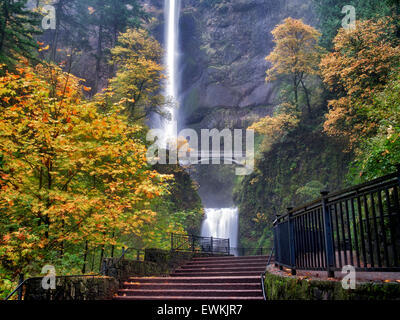 Multnomah Falls with steps and fall color. Columbia River Gorge National Scenic Area, Oregon Stock Photo