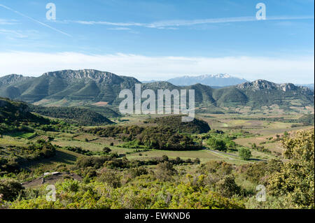 Looking across the Agly valley near Maury with Pyrenees peak Mt. Canigou, Pyrénées-Orientales, France Stock Photo