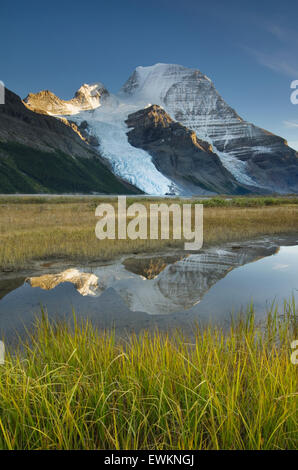 Mount Robson, highest mountain in the Canadian Rockies, elevation 3,954 m (12,972 ft), seen from Berg Lake, Mount Robson Provinc Stock Photo