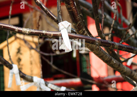 Close up of bad luck Omikuji fortune paper slips tied to twigs and small branches of a tree at the Ikuta Shinto Shrine in Kobe. Stock Photo