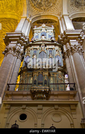 Pipe organ of the Cathedral de Malaga Stock Photo