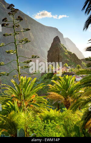 Masca village with its characteristic pinnacle in the center, Tenerife, Canary Islands Stock Photo
