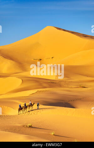 Tourists ride on camels, Erg Chebbi desert near Merzouga, Sahara, Morocco Stock Photo