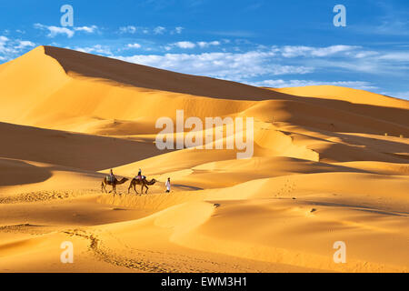 Tourists ride on camels, Erg Chebbi desert near Merzouga, Sahara, Morocco Stock Photo