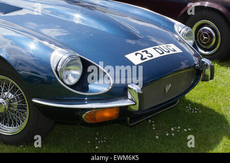 The Woodvale Rally at Victoria Park Southport, Merseyside, England. Stock Photo