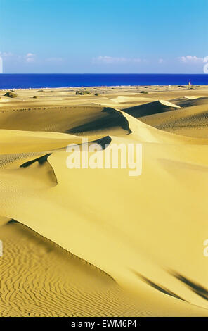 Maspalomas sand dunes, elevated view, Gran Canaria, Canary Islands, Spain Stock Photo