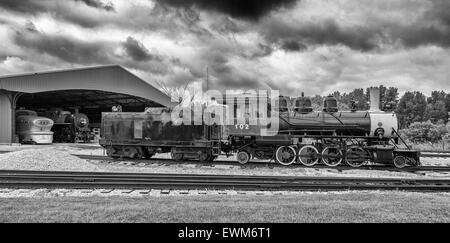 Wisconsin, Green Bay, National Railroad Museum Stock Photo