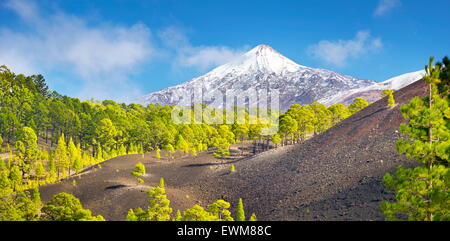 Tenerife - view of Teide Volcano Mount, Canary Islands, Spain Stock Photo