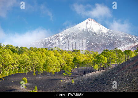 View of Teide Volcano Mount, Tenerife, Canary Islands, Spain Stock Photo