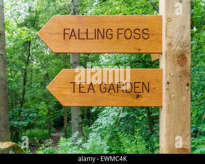 Wooden sign post to the Falling Foss Tea Room Sneaton Forest North Yorkshire Moors National Park Whitby North Yorkshire Stock Photo