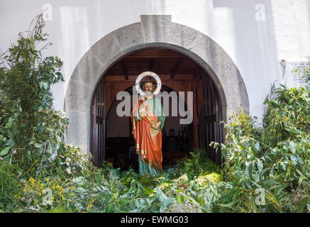 Bajada de La Rama fiesta, San Pedro village, Gran Canaria, Canary Islands, Spain. 28th June, 2015. In a tradition that is said to date back to the original inhabitants of Gran Canaria, The Guanches, locals walk up to the eucalyptus forests 1400 metres above the village the night before the fiesta, cut branches (Ramas in Spanish) from the trees and walk down the mountain to the village the following morning. Credit:  ALANDAWSONPHOTOGRAPHY/Alamy Live News Stock Photo