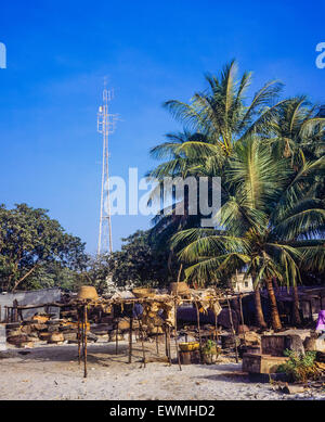 Charcoal burner camp, Gambia, West Africa Stock Photo