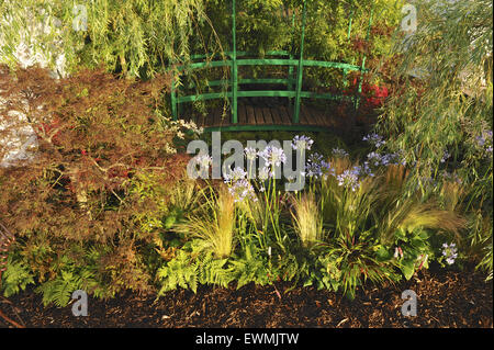 Hampton Court, Surrey, UK. 29th June, 2015. Preview day was held for the world’s largest annual flower show as the RHS Hampton Court Palace Flower Show celebrated it’s silver anniversary. Impressively arranged flowers and exquisite gardens bloomed in glorious sunshine as the show opened. Credit:  Michael Preston/Alamy Live News Stock Photo
