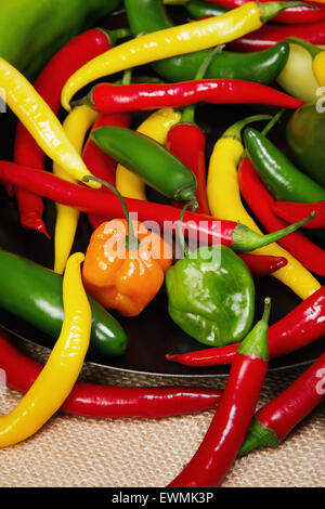 Stock image of chili pepper still life very colorful an varied Stock Photo