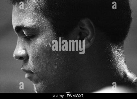 Muhammad Ali (Cassius Clay) training at his Pennsylvanian mountain retreat for his Rumble in the Jungle fight against George Foreman in Zaire. 27th August 1974. Stock Photo