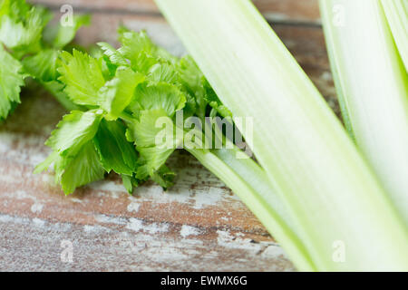 close up of celery stems on wooden table Stock Photo