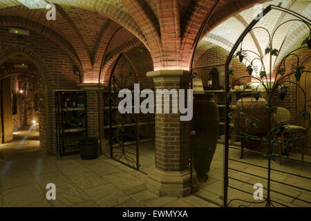 The Forbidden Corner, near Middleham. The wine cellar. Stock Photo