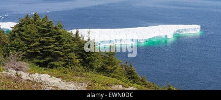 Iceberg floating off the coast near Twillingate, Newfoundland, Canada Stock Photo