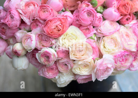Bouquet of multi-colored ranunculus Stock Photo - Alamy