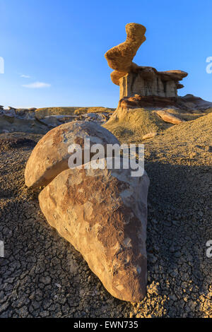 King of Wings in the Bisti Wilderness, New Mexico, USA Stock Photo