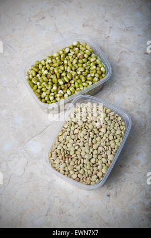 Green white small Beans in plastic containers on marble background Stock Photo