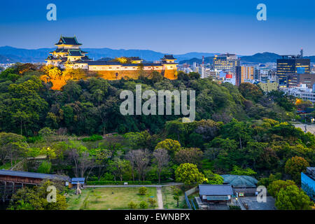 Wakayama, Japan Castle and downtown cityscape.