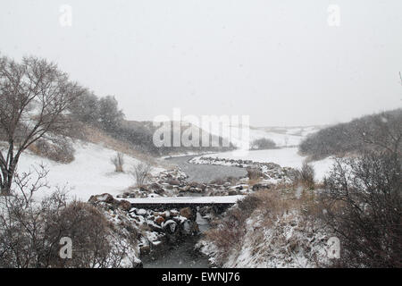 A snowy day in Saskatchewan. Stock Photo