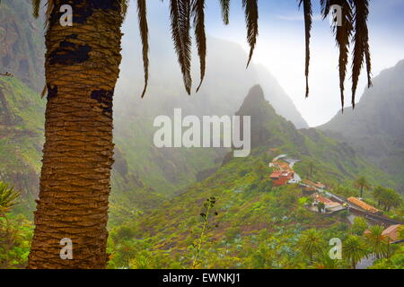 Tenerife - Masca village, Canary Islands, Spain Stock Photo