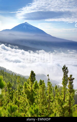 Tenerife - Teide Volcano Mount above sea of clouds, Canary Islands, Spain Stock Photo