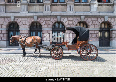 Belgium, Antwerp, horse carriage in front of great market place Stock Photo