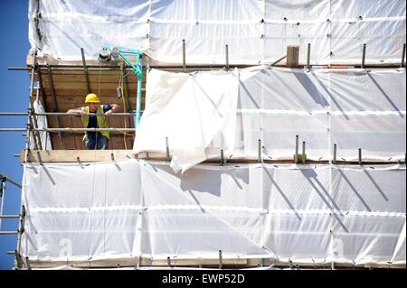 A construction worker leans out of scaffolding on a new build housing site. Stock Photo
