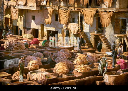 Fez Medina -  Chouwara leather tannery in Old Fez, Morocco, Africa Stock Photo