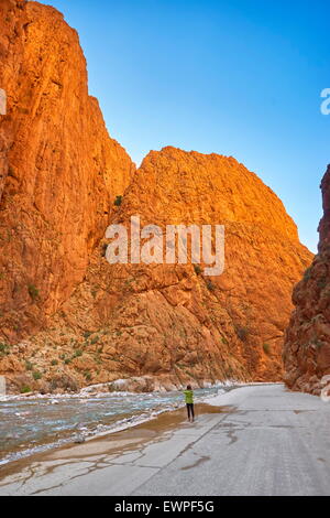 Gorges du Todgha, Tinghir, Morocco, Africa Stock Photo