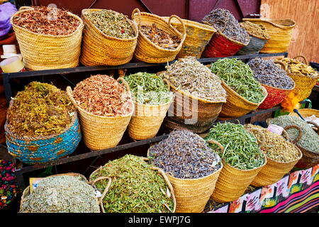 Traditional local herbs and spices, Morocco, Africa Stock Photo