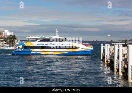 Manly, Australia-June 5th 2015: The high speed ferry turning to depart Manly Wharf. Stock Photo