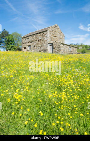 Barn in Muker hay meadows in Swaledale Stock Photo