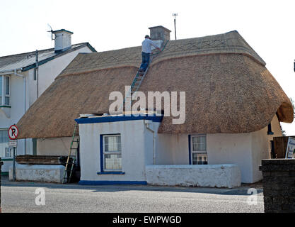 Ireland, County Wexford, Kilmore Quay house (Formerly The Wooden House), Man working on straw roof Stock Photo