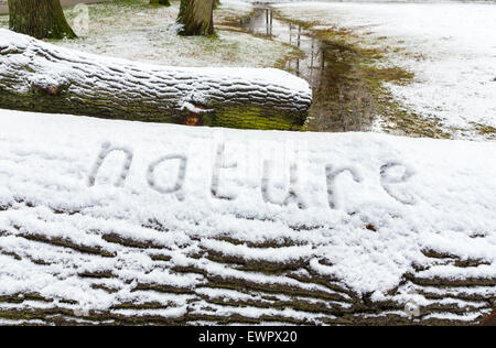 Word nature written in snow on tree trunks in winter season Stock Photo