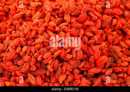 Goji berries,  Lycium Barbarum. Stock Photo