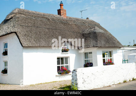 Ireland, County Wexford, Kilmore Quay house Stock Photo