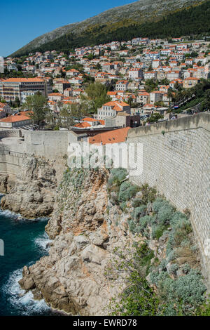 view of wall of old city of dubrovnik above coast. croatia Stock Photo